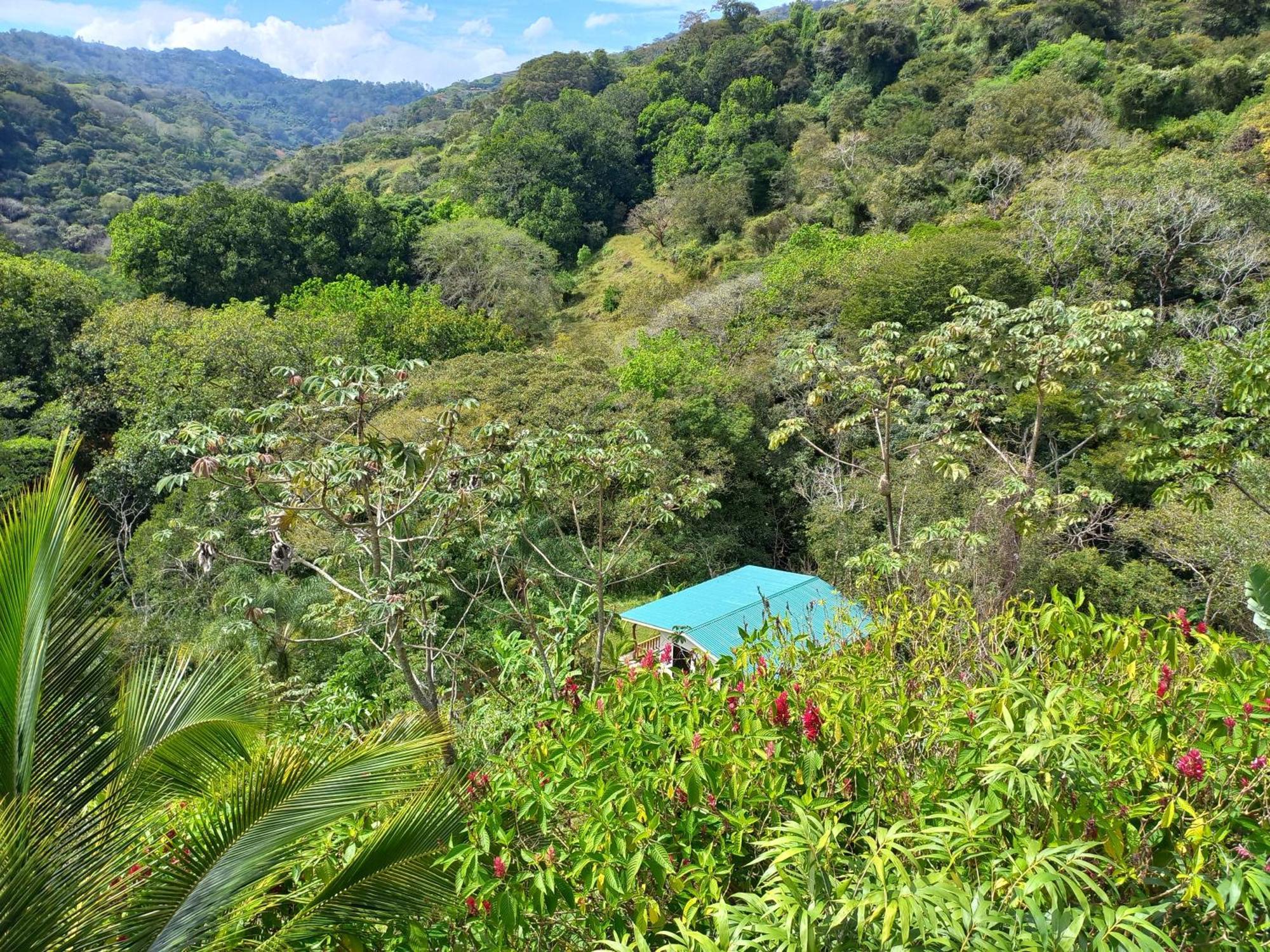 Вилла Casa El Colibri Naranjo  Экстерьер фото